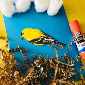 Kids Nature Busy Kit